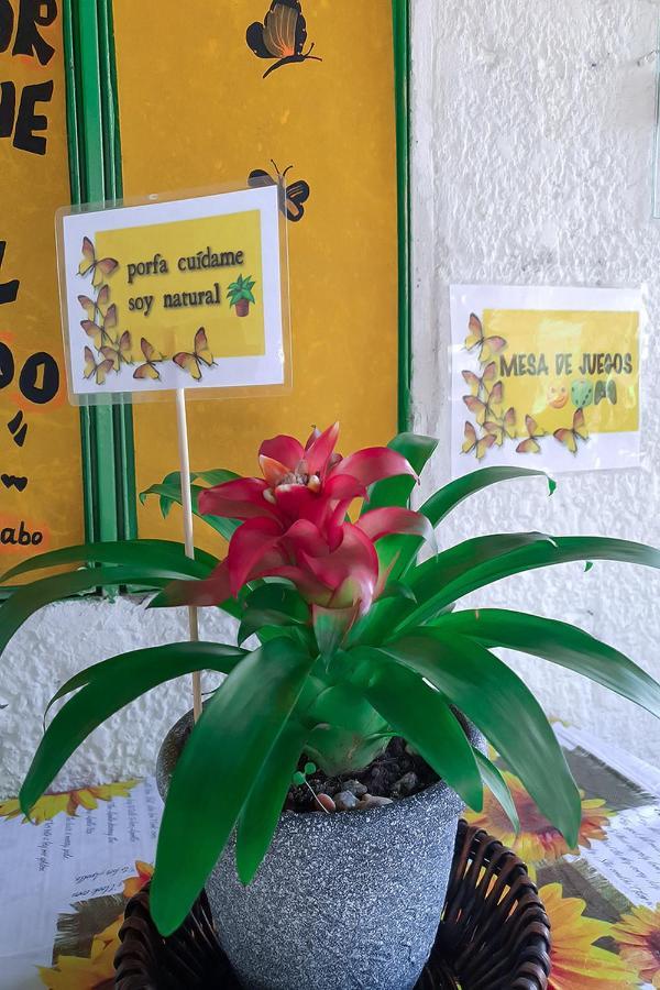 Hostal Gabo Bucaramanga Esterno foto